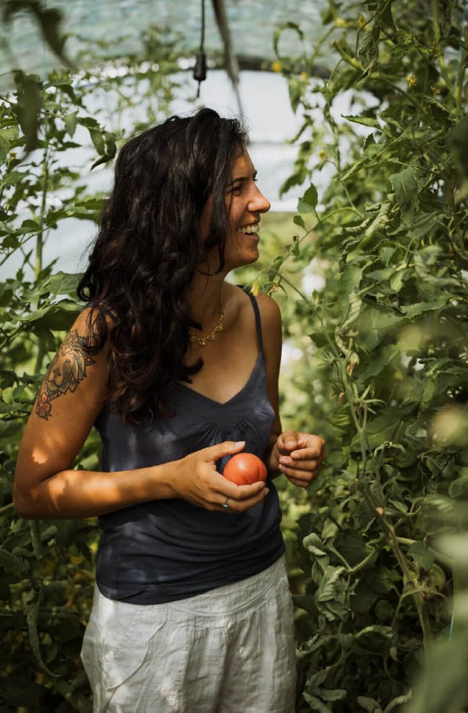 Une femme récolte les tomates sous la serre