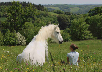 Une jeune fille assise dans les herbes hautes auprès du cheval blanc